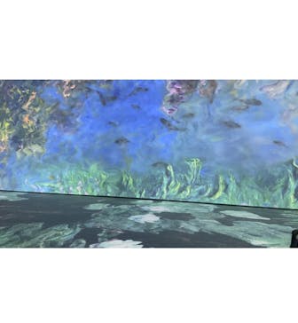 モネ＆フレンズ・アライブに投稿された画像（2024/7/16）