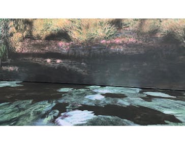 モネ＆フレンズ・アライブに投稿された画像（2024/7/16）