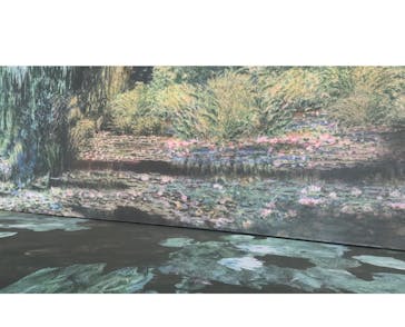 モネ＆フレンズ・アライブに投稿された画像（2024/7/16）