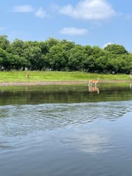 ヒーリングカヌー釧路に投稿された画像（2024/7/16）