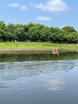 ヒーリングカヌー釧路に投稿された画像（2024/7/16）