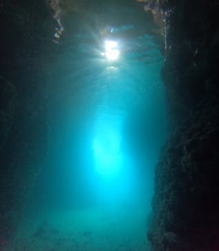 青の洞窟専門店　沖縄ダイビングショップ和に投稿された画像（2024/7/16）