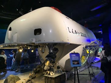 新江ノ島水族館に投稿された画像（2024/7/16）