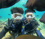 武藤潜水に投稿された画像（2024/7/16）