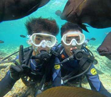 武藤潜水に投稿された画像（2024/7/16）