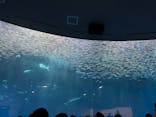 名古屋港水族館に投稿された画像（2024/7/16）