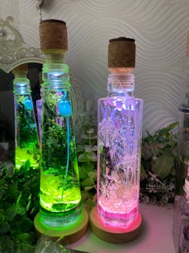 ずこうしつ〜sugamo〜に投稿された画像（2024/7/16）