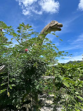 御菓子御殿　名護店　やんばる亜熱帯の森DINO恐竜PARKに投稿された画像（2024/7/16）