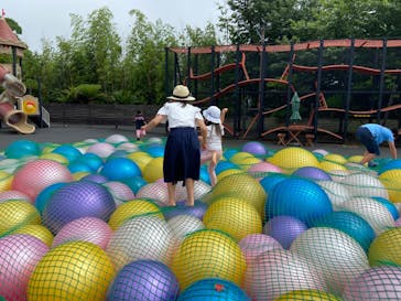 伊豆ぐらんぱる公園に投稿された画像（2024/7/16）