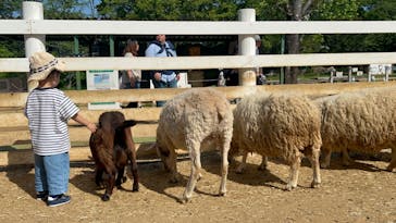 成田ゆめ牧場に投稿された画像（2024/7/16）