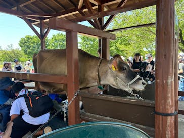 成田ゆめ牧場に投稿された画像（2024/7/16）