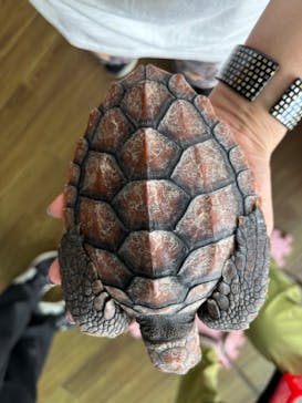 串本海中公園水族館に投稿された画像（2024/7/16）