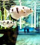 NIFREL（ニフレル）に投稿された画像（2024/7/16）