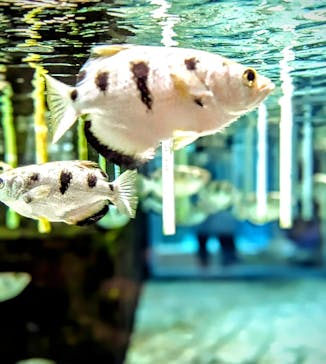 NIFREL（ニフレル）に投稿された画像（2024/7/16）