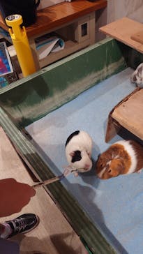 沖縄こどもの国に投稿された画像（2024/7/16）