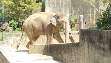 沖縄こどもの国に投稿された画像（2024/7/16）
