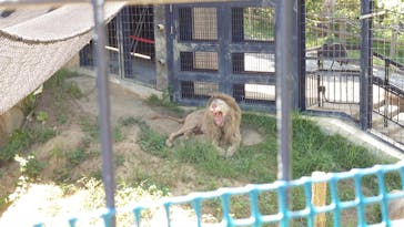 沖縄こどもの国に投稿された画像（2024/7/16）