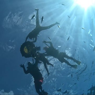 ダイビングショップ Sea Free（シーフリー）に投稿された画像（2024/7/15）