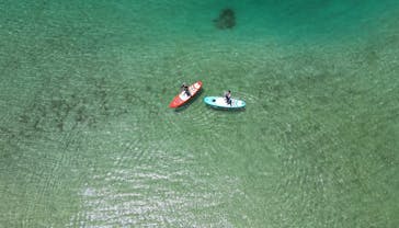 ちゃこたびに投稿された画像（2024/7/16）