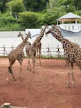 多摩動物公園に投稿された画像（2024/7/16）