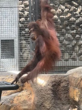 多摩動物公園に投稿された画像（2024/7/16）