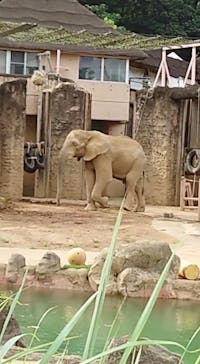 多摩動物公園に投稿された画像（2024/7/16）