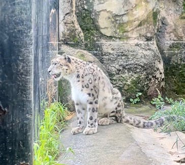 多摩動物公園に投稿された画像（2024/7/16）