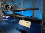 巨大恐竜展2024に投稿された画像（2024/7/16）