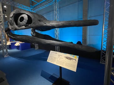 巨大恐竜展2024に投稿された画像（2024/7/16）