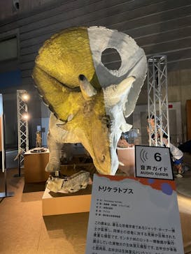 巨大恐竜展2024に投稿された画像（2024/7/16）