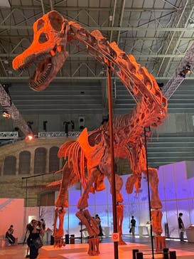 巨大恐竜展2024に投稿された画像（2024/7/16）