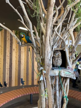 横浜・八景島シーパラダイスに投稿された画像（2024/7/16）