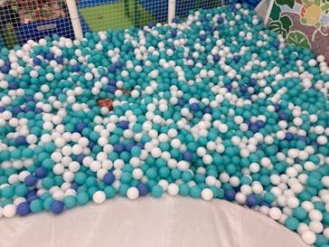 キッズランドUS 東京大森店に投稿された画像（2024/7/16）