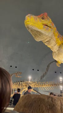 福井県立恐竜博物館に投稿された画像（2024/7/16）