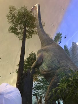 福井県立恐竜博物館に投稿された画像（2024/7/16）