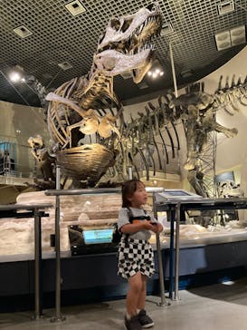 国立科学博物館に投稿された画像（2024/5/25）