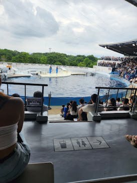 京都水族館に投稿された画像（2024/7/16）