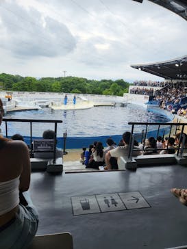 京都水族館に投稿された画像（2024/7/16）