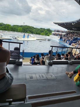 京都水族館に投稿された画像（2024/7/16）