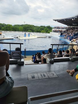 京都水族館に投稿された画像（2024/7/16）