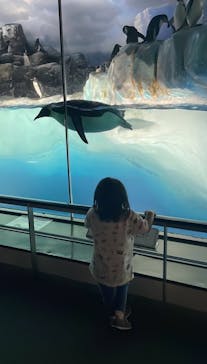 名古屋港水族館に投稿された画像（2024/7/16）
