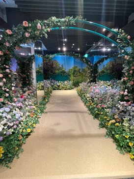 モネ＆フレンズ・アライブに投稿された画像（2024/7/16）