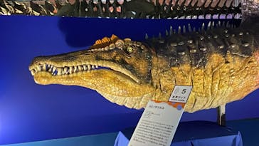 巨大恐竜展2024に投稿された画像（2024/7/16）