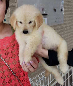 つくばわんわんランドに投稿された画像（2024/7/16）