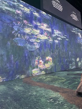 モネ＆フレンズ・アライブに投稿された画像（2024/7/16）