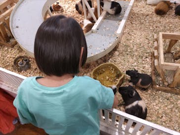 アニタッチみなとみらいに投稿された画像（2024/7/16）