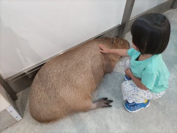 アニタッチみなとみらいに投稿された画像（2024/7/16）