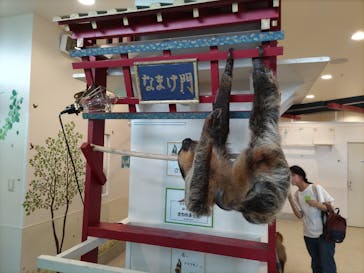 アニタッチみなとみらいに投稿された画像（2024/7/16）