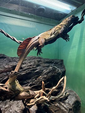 サンシャイン水族館に投稿された画像（2024/7/16）