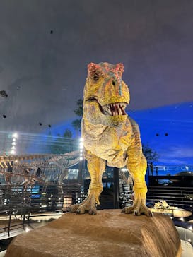 福井県立恐竜博物館に投稿された画像（2024/7/16）